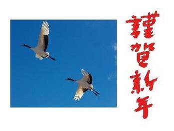 画像(350x262)・拡大画像(356x267)